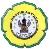 images removebg preview (1).png