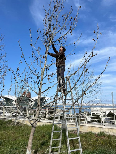 487168929 1228590818622229 7525233577138101910 n.jpg?stp=dst jpg p600x600 tt6& nc cat=101&ccb=1 7& n.jpg