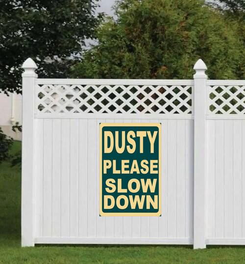 dusty please slow down 1.jpg
