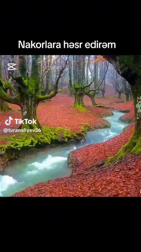 GcF3PiwAE K7tPBM.jpg