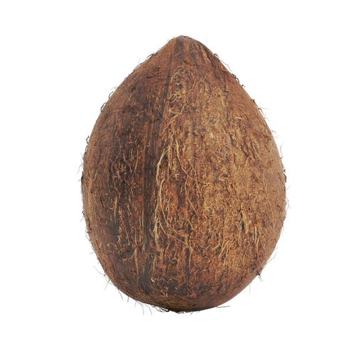 73f9a2c9 ba63 44b3 b596 153d463f3cef removalai preview.png