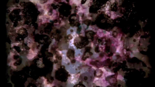 vlcsnap 2025 03 29 14h41m10s162.png
