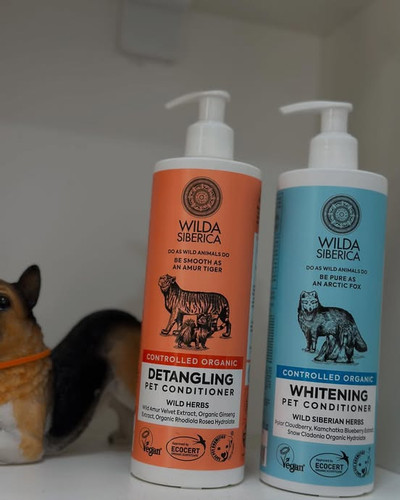 487382397 18042103424603438 5684203160655848250 n.jpg?stp=dst jpegr p552x414 tt6& nc cat=101&ccb=1 7.jpg