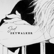 Skywalker #6.png