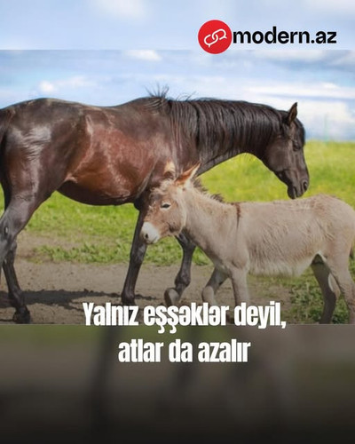 488350509 1217211810413336 3110438457958145763 n.jpg?stp=dst jpg s640x640 tt6& nc cat=104&ccb=1 7& n.jpg