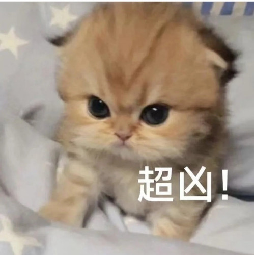 Screenshot 20250329 135617 com.xingin.xhs edit 2068277862687528.jpg