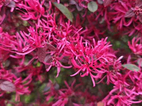 IMG 20250330 115934.jpg