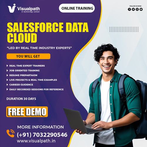 Salesforce Data Cloud Online Training - Salesforce Data Cloud.jpg