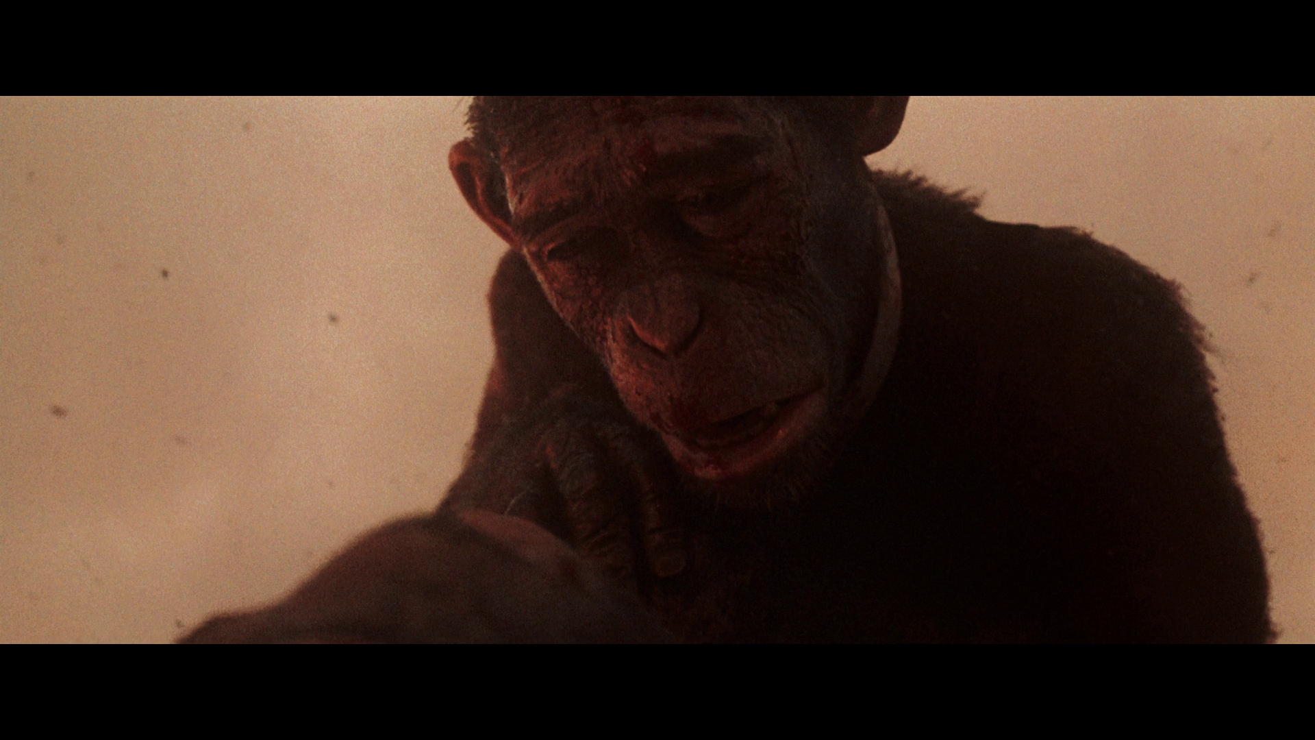 vlcsnap 2025 03 29 20h30m25s772