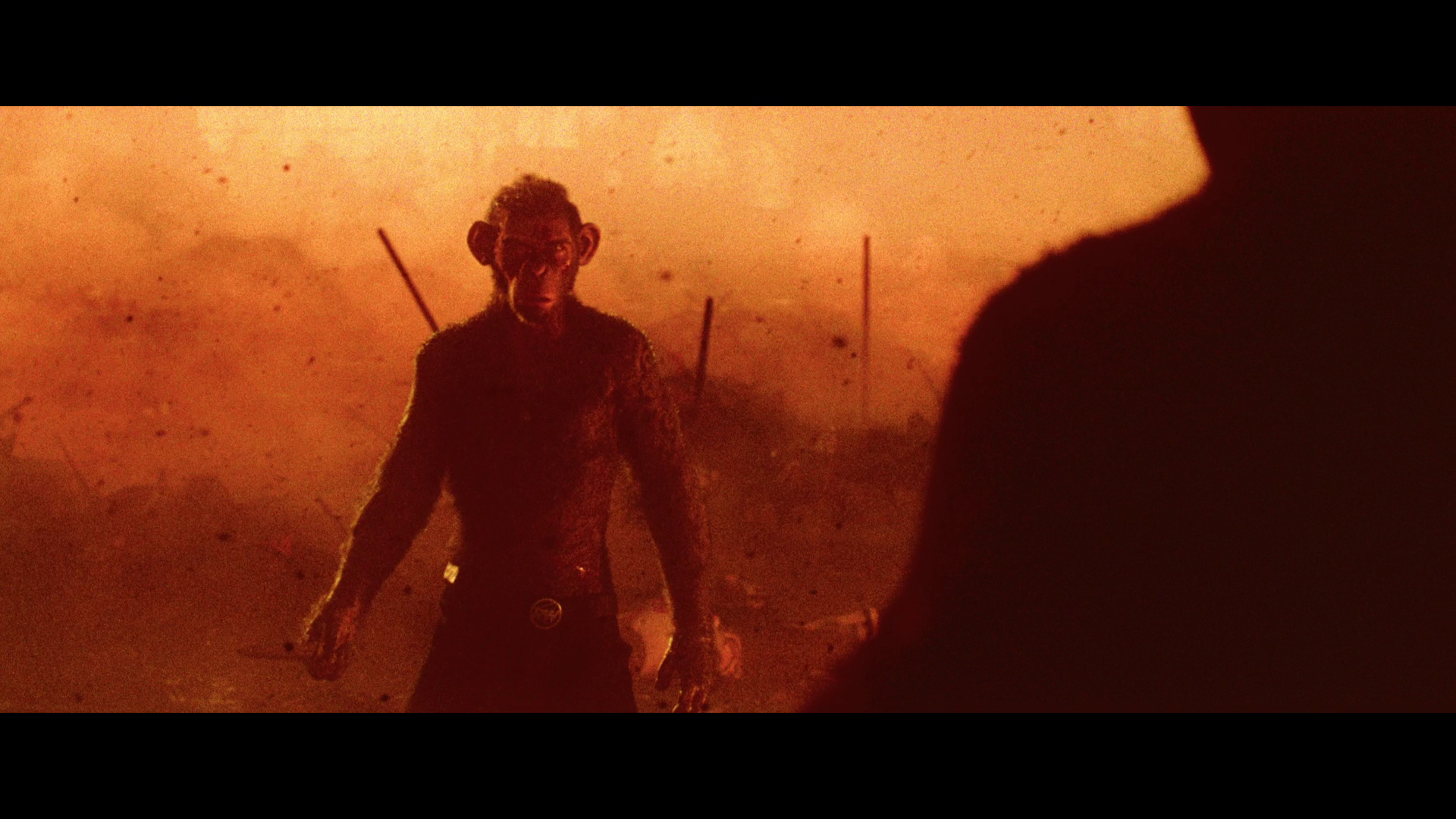 vlcsnap 2025 03 29 20h30m28s078