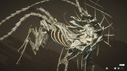 IMG 20250330 224428.jpg