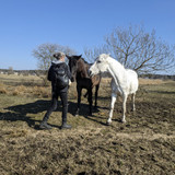 PXL 20250329 140624582