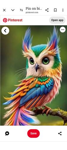 Screenshot 20250330 125136.png