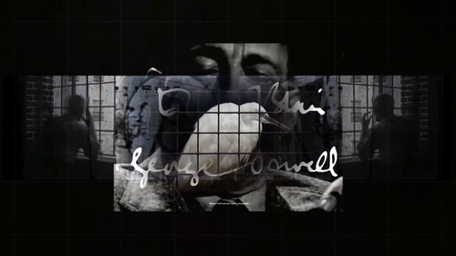 vlcsnap 2025 03 30 18h25m04s462.png