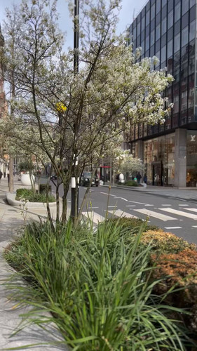 qOXn046xMI Ia5wv.jpg