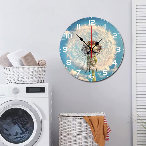 Dandelion flower 002 07.jpg