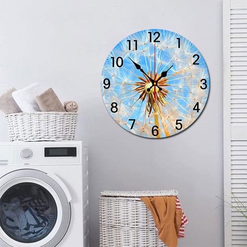 Dandelion flower 005 07.jpg