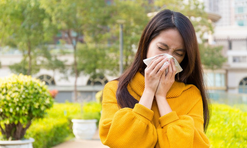 hayfever2501.jpg