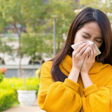 hayfever2501