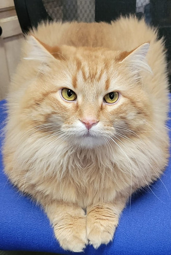 488223245 122146733252481931 8103490096292987098 n.jpg