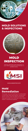 MSI’s Expert Mold Inspection Services Ensuring a Safe and Healthy Home.jpg