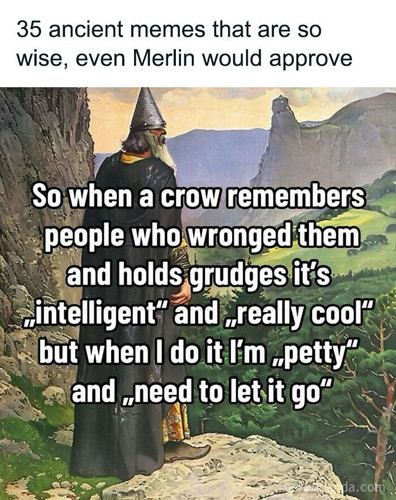 ancient wizardly instagram memes.jpg