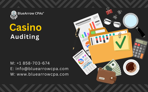 Casino auditing (1).png