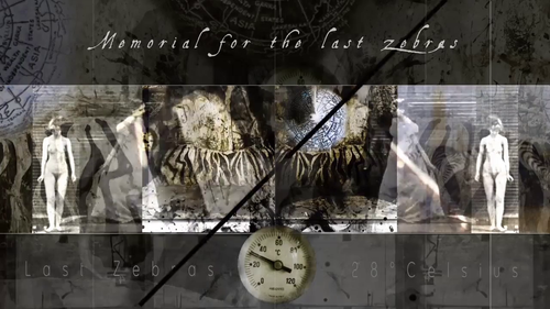 vlcsnap 2025 03 31 12h34m33s430.png