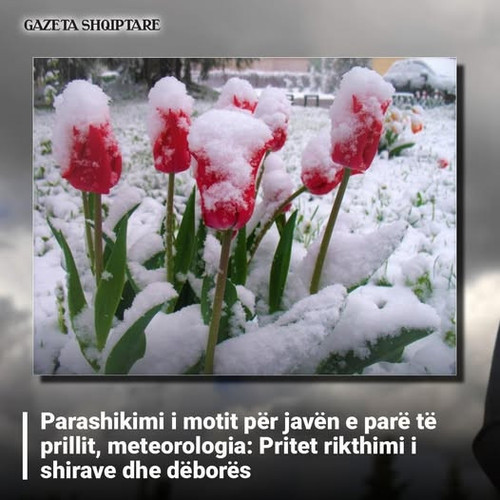 488082289 1211025284403197 3247585680814457790 n.jpg?stp=dst jpg p526x296 tt6& nc cat=109&ccb=1 7& n.jpg