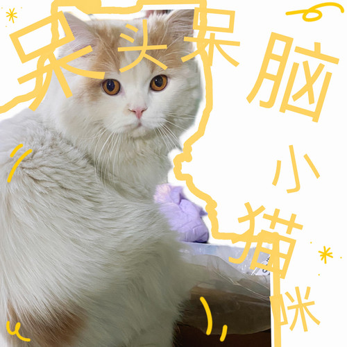 F8E3B8A9 043A 4BF4 88D5 65D2F520A842.jpg