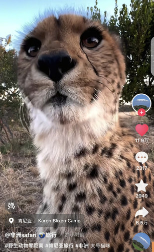 Screenshot 20250331 085342.jpg