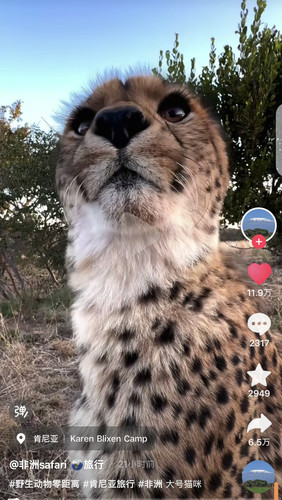 Screenshot 20250331 085022.jpg