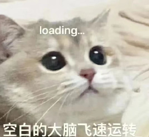 Camera XHS 17433180217941040g00831889itle4c6g4af5ud427se6g4bsnfg edit 7465824161880.jpg