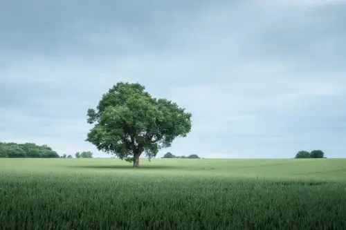 220619+ +205833+ +UK+001.webp