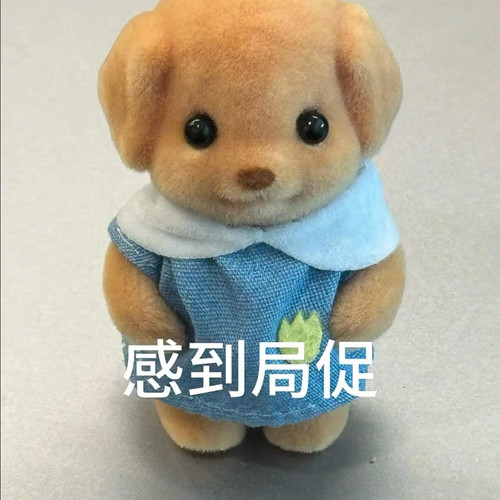 Camera XHS 17433180666301040g2sg315du3hs1gk705obelndgjii3ap0dlp0 edit 7520078388435.jpg