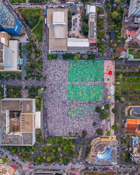 486859180 1200579261437239 7570429046180281542 n.jpg?stp=dst jpg s600x600 tt6& nc cat=1&ccb=1 7& nc .jpg