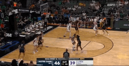 GIF 3 29 2025 2 06 26 PM.gif