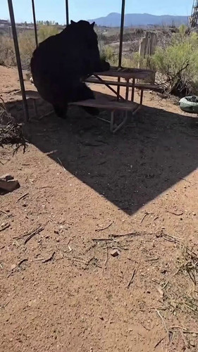 qoDl4Avg4UUpO MF.jpg