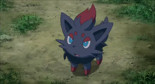 Zorua laughs.webp