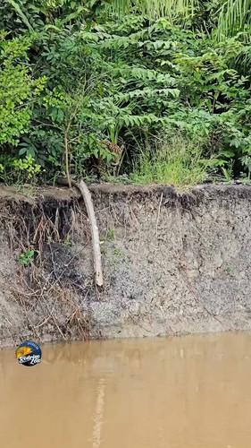 c0T5SScRyI0 hutZ.jpg