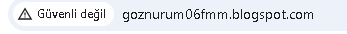 ayse yorgun.png