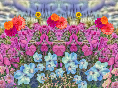 902E3E0C 4652 45D2 935E F6772849ED6C.jpg