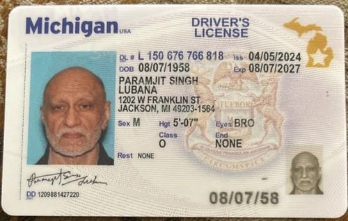 Paramjit Singh Lubana license image.jpg