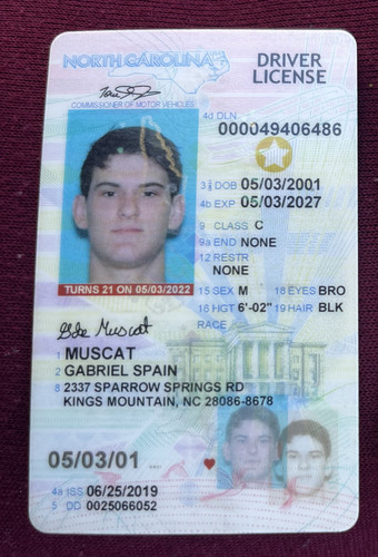 Gabriel Spain Muscat license image.jpg