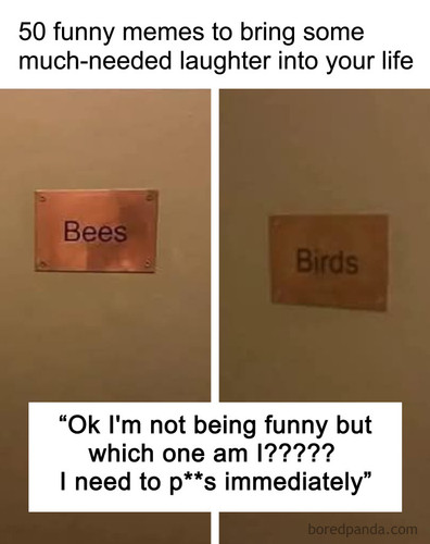 very nice meme thanks posts.jpg