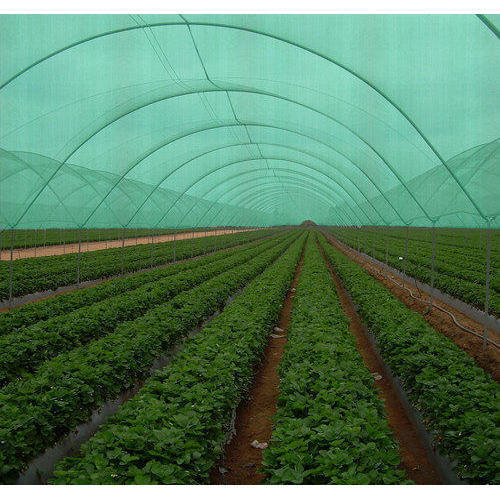 Trusted High-Quality Knotless & Polyester Nets Supplier in Mumbai.jpg