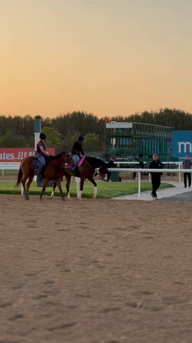 vhkrjEQw99smQm w.jpg