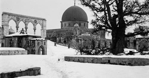 487508486 1220173226784501 4540853181715242371 n.jpg?stp=dst jpg s600x600 tt6& nc cat=102&ccb=1 7& n.jpg