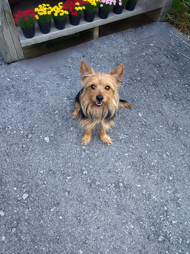 52F4E7AA D0B8 4AD5 AF94 2BA6B78E8319.png