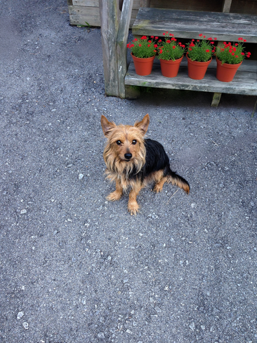 3D8E51F6 3069 47EA B74C 5F038C5D879D.png